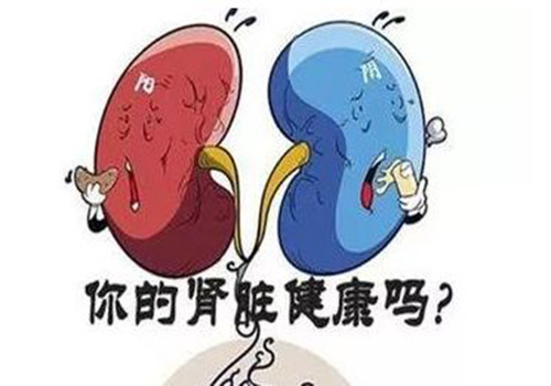 保護腎臟應(yīng)該怎么做